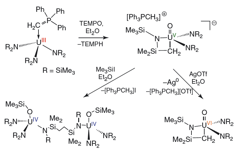 Pentavalent actinide organometallic figure